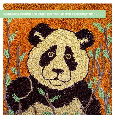 Panda art made of natural products