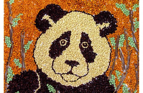 Panda art made of natural products