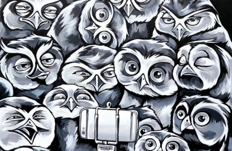 Stine Hvid Owl Selfie painting